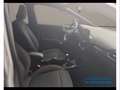 Ford Puma 1.0 EcoBoost Hybrid ST-Line Grigio - thumbnail 14