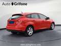 Ford Focus Benzina 5p 1.0 ecoboost Plus s&s 100cv PROMO MENO Rosso - thumbnail 4