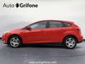 Ford Focus Benzina 5p 1.0 ecoboost Plus s&s 100cv PROMO MENO Rosso - thumbnail 11
