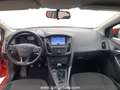 Ford Focus Benzina 5p 1.0 ecoboost Plus s&s 100cv PROMO MENO Rosso - thumbnail 13