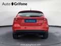 Ford Focus Benzina 5p 1.0 ecoboost Plus s&s 100cv PROMO MENO Rosso - thumbnail 3