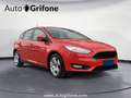 Ford Focus 2015 Benzina 5p 1.0 ecoboost Plus s&s 100cv PROMO Rosso - thumbnail 5