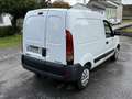 Renault Kangoo 1.5DCI Pampa 85 4x2 Blanc - thumbnail 18