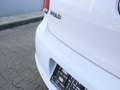 Volkswagen Polo 1.2 WEIß / KLIMA / OPTISCHE-MÄNGEL Wit - thumbnail 14