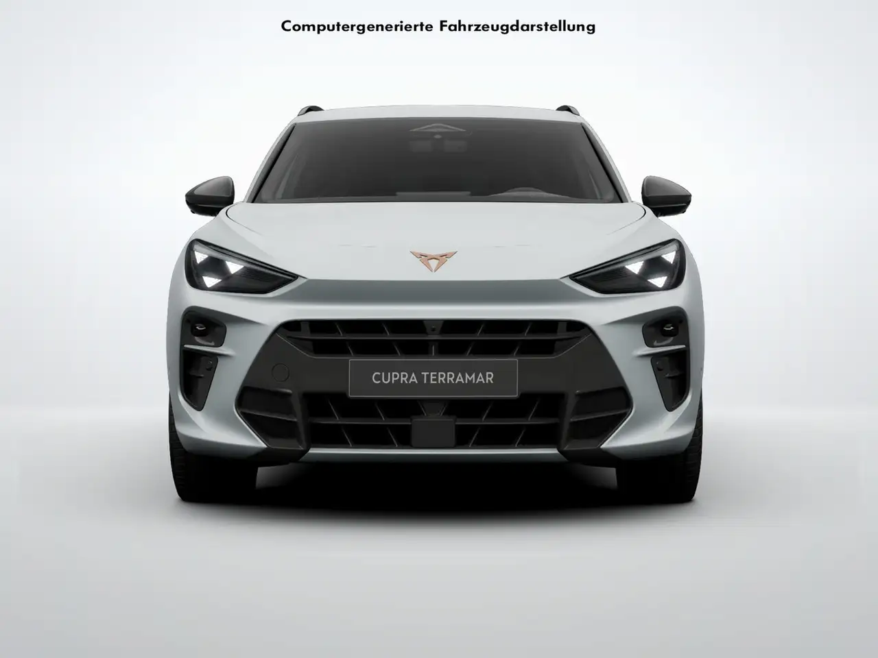Cupra Terramar 1.5 HYBRID VZ LEDER SENNHEISER AHK LM19, миниатюра 2