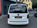 Volkswagen Caddy PKW Edition 35*DSG*NAVI*AHK*XEN*RFK*ACC* Weiß - thumbnail 5