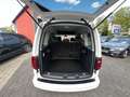 Volkswagen Caddy PKW Edition 35*DSG*NAVI*AHK*XEN*RFK*ACC* Weiß - thumbnail 19