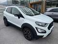 Ford EcoSport 1.0 ecoboost Active 125Cv Bianco - thumbnail 3