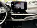 Suzuki Swift 1,2 Hybrid Shine Grau - thumbnail 10