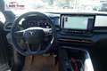 CUPRA Terramar VZ 2.0 TSI 265 PS DSG 4Drive AHK Pano 20" Hadro... Grau - thumbnail 14