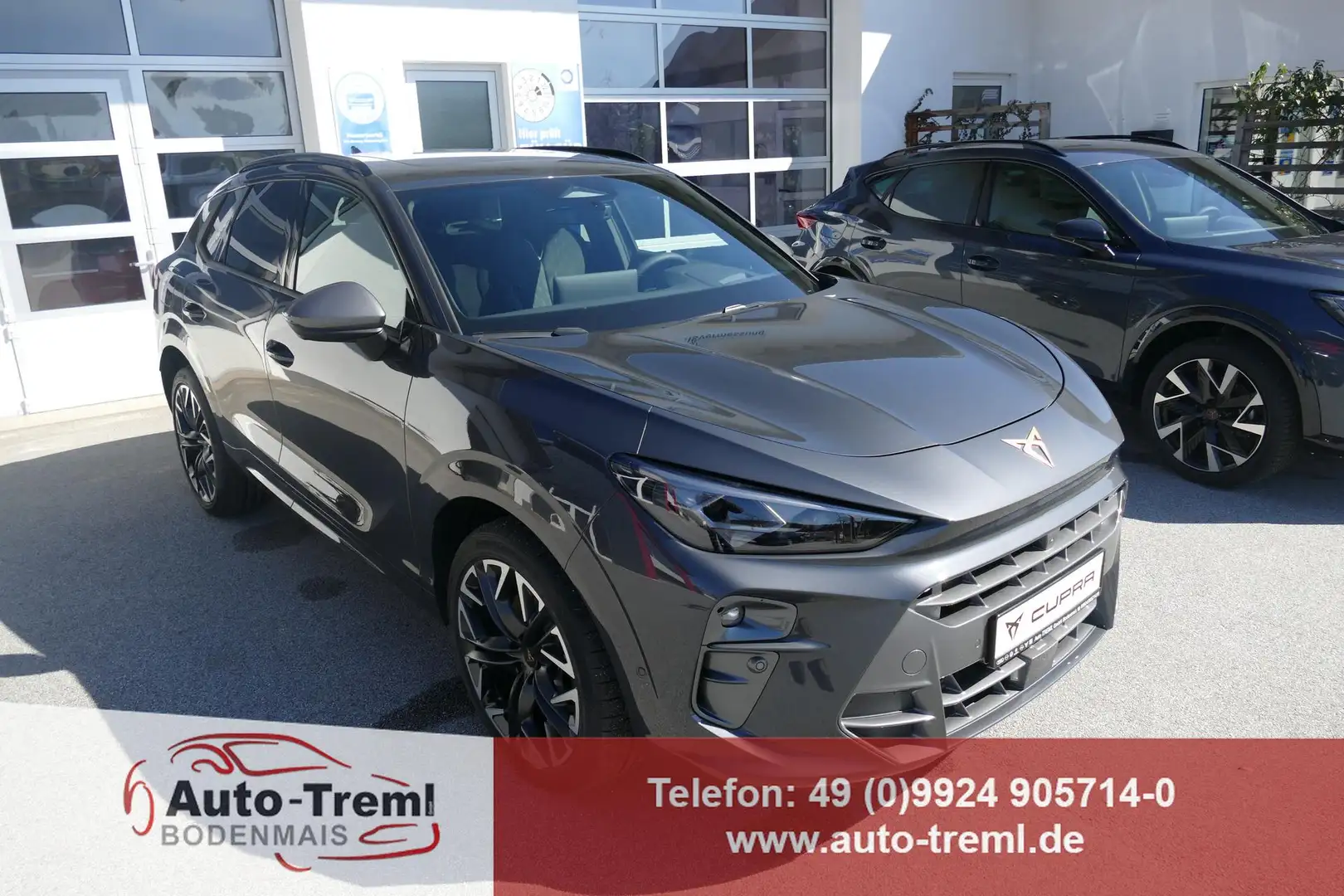 CUPRA Terramar VZ 2.0 TSI 265 PS DSG 4Drive AHK Pano 20" Hadro... Grau - 1