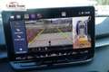 CUPRA Terramar VZ 2.0 TSI 265 PS DSG 4Drive AHK Pano 20" Hadro... Grau - thumbnail 15