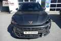 CUPRA Terramar VZ 2.0 TSI 265 PS DSG 4Drive AHK Pano 20" Hadro... Grau - thumbnail 7