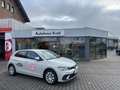 Volkswagen Polo Life 1,0 l 59 kW (80 PS) 5-Gang Gris - thumbnail 1