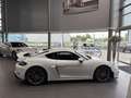 Porsche Cayman GT4 Blanco - thumbnail 8