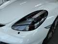 Porsche Cayman GT4 Blanco - thumbnail 15