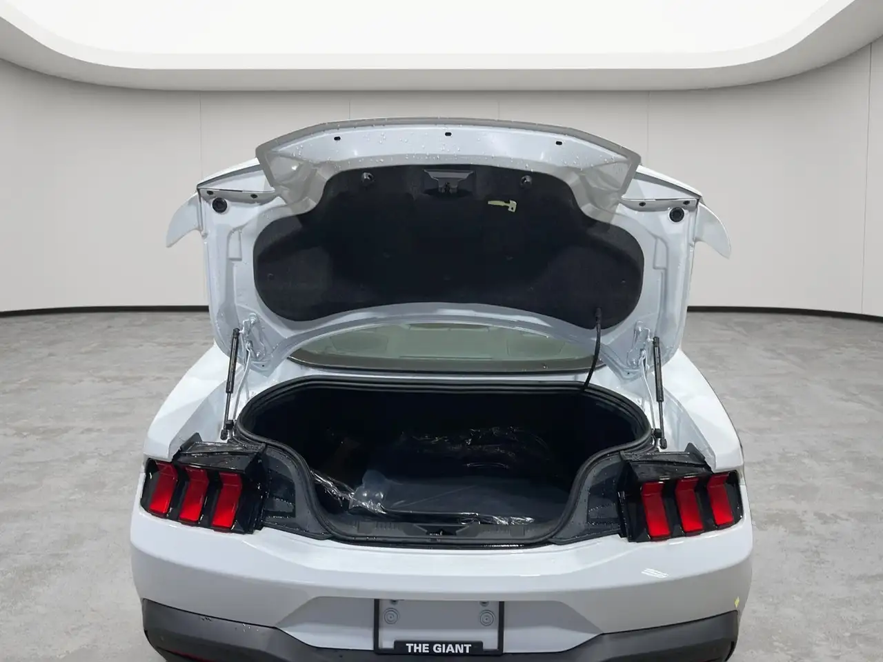 Ford Mustang снимка Ford Mustang