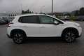 Peugeot 2008 1,2 PureTech 110 S&S Allure Weiß - thumbnail 8