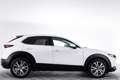 Mazda CX-30 2.0 e-SkyActiv-G M Hybrid Comfort | ADAPT. CRUISE Blanc - thumbnail 4