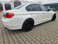 BMW Active Hybrid 3 3er Hybrid ActiveHybrid Sport-Aut. Modern Line,Tuv Wit - thumbnail 3