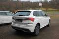 Skoda Kamiq Tour LED DAB Winter Paket MFL Weiß - thumbnail 3