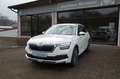 Skoda Kamiq Tour LED DAB Winter Paket MFL Weiß - thumbnail 1