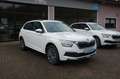 Skoda Kamiq Tour LED DAB Winter Paket MFL Weiß - thumbnail 2