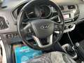 Kia Rio Rio III 2011 5p 1.1 crdi Cool E6 Weiß - thumbnail 7