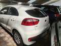 Kia Rio Rio III 2011 5p 1.1 crdi Cool E6 Bianco - thumbnail 4