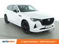 Mazda CX-60 2.5 e-Skyactiv Plug-in Hybrid Homura AWD Aut*NAVI* Blanc - thumbnail 8