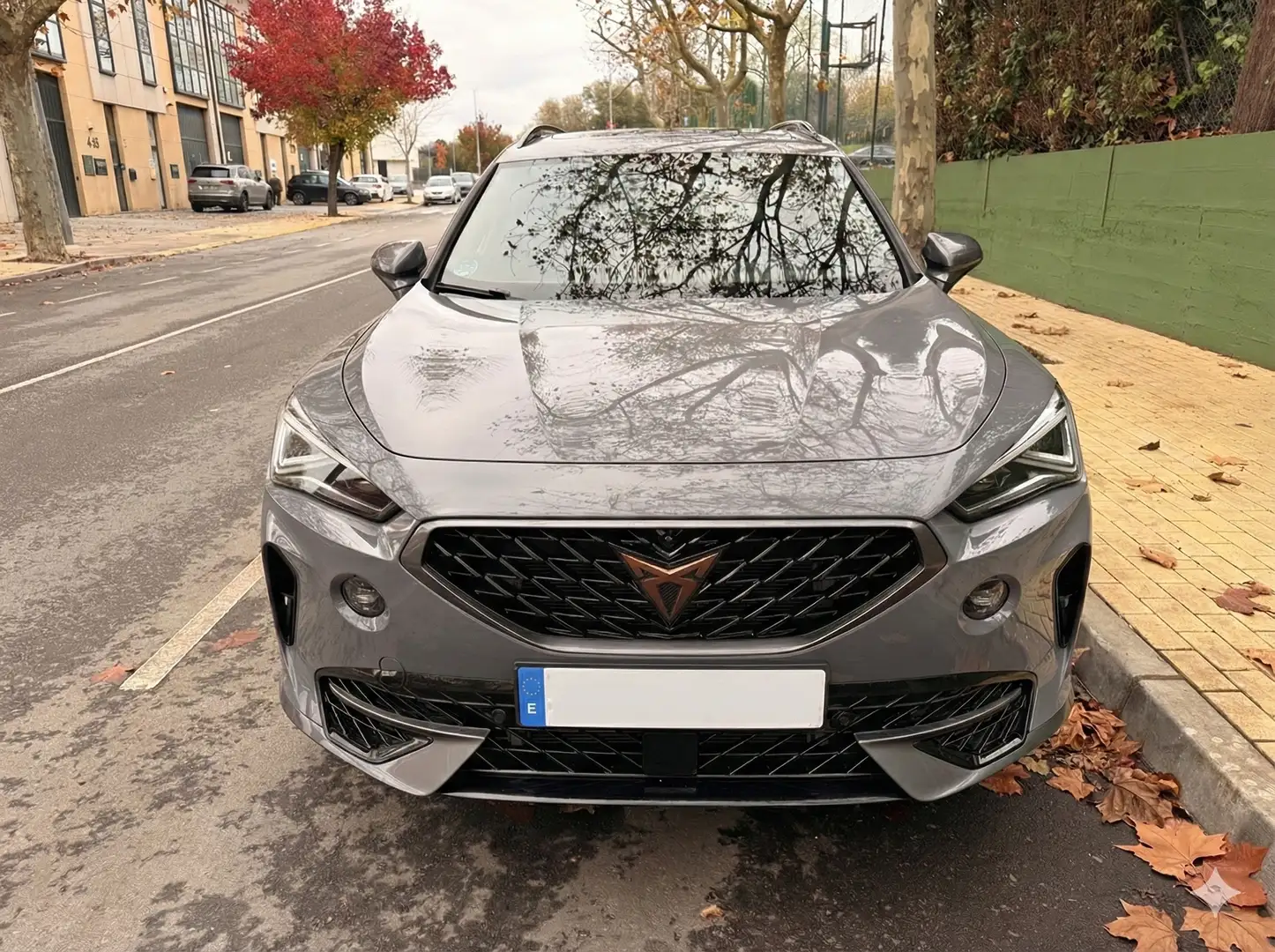 CUPRA Formentor VZ 310 CV DSG 4 DRIVE Gris - 1