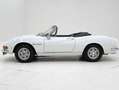 Fiat Dino Spider '67 CH1967 Weiß - thumbnail 8