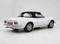 Fiat Dino Spider '67 CH1967 Weiß - thumbnail 29