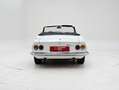 Fiat Dino Spider '67 CH1967 Weiß - thumbnail 7