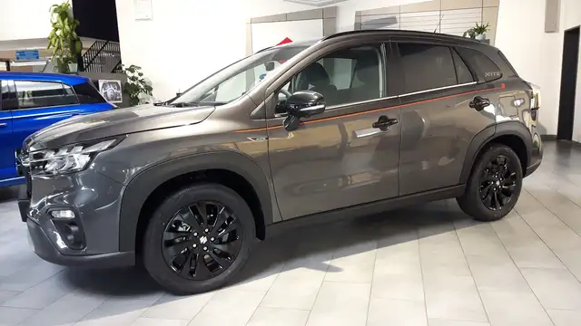 Suzuki Sonstige