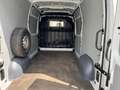 Nissan Interstar Kastenwagen L2H2*1.HAND*STAND.HZ*TEMP. - thumbnail 10