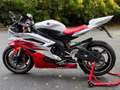 Yamaha YZF-R6 RJ11 Bianco - thumbnail 3