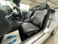 Mercedes-Benz SLK 200 Kompressor "Special Edition" *GARANTIE* Silber - thumbnail 22