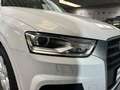 Audi Q3 Sport Panoramadach Xenon Sitzh PDC LED 8fach Weiß - thumbnail 26