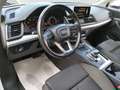 Audi Q5 40 2.0 tdi Business Design quattro 190cv s-tronic Weiß - thumbnail 8