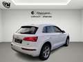 Audi Q5 40 2.0 tdi Business Design quattro 190cv s-tronic Weiß - thumbnail 4