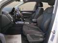 Audi Q5 40 2.0 tdi Business Design quattro 190cv s-tronic Weiß - thumbnail 9