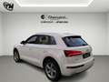 Audi Q5 40 2.0 tdi Business Design quattro 190cv s-tronic Weiß - thumbnail 7