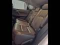 Lexus RX 450h 3.5 Executive 263cv cvt Bianco - thumbnail 15
