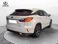 Lexus RX 450h 3.5 Executive 263cv cvt Bianco - thumbnail 6