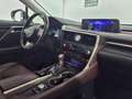 Lexus RX 450h 3.5 Executive 263cv cvt Bianco - thumbnail 13