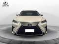 Lexus RX 450h 3.5 Executive 263cv cvt Bianco - thumbnail 2