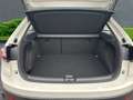 Volkswagen Taigo Basis 1.0 TSI+Klimaanlage+Park Distance Control+Si Grau - thumbnail 5