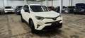 Toyota RAV 4 2.5i e-AWD Hybrid C. only export Afrika Blanco - thumbnail 1