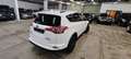 Toyota RAV 4 2.5i e-AWD Hybrid C. only export Afrika Blanc - thumbnail 22